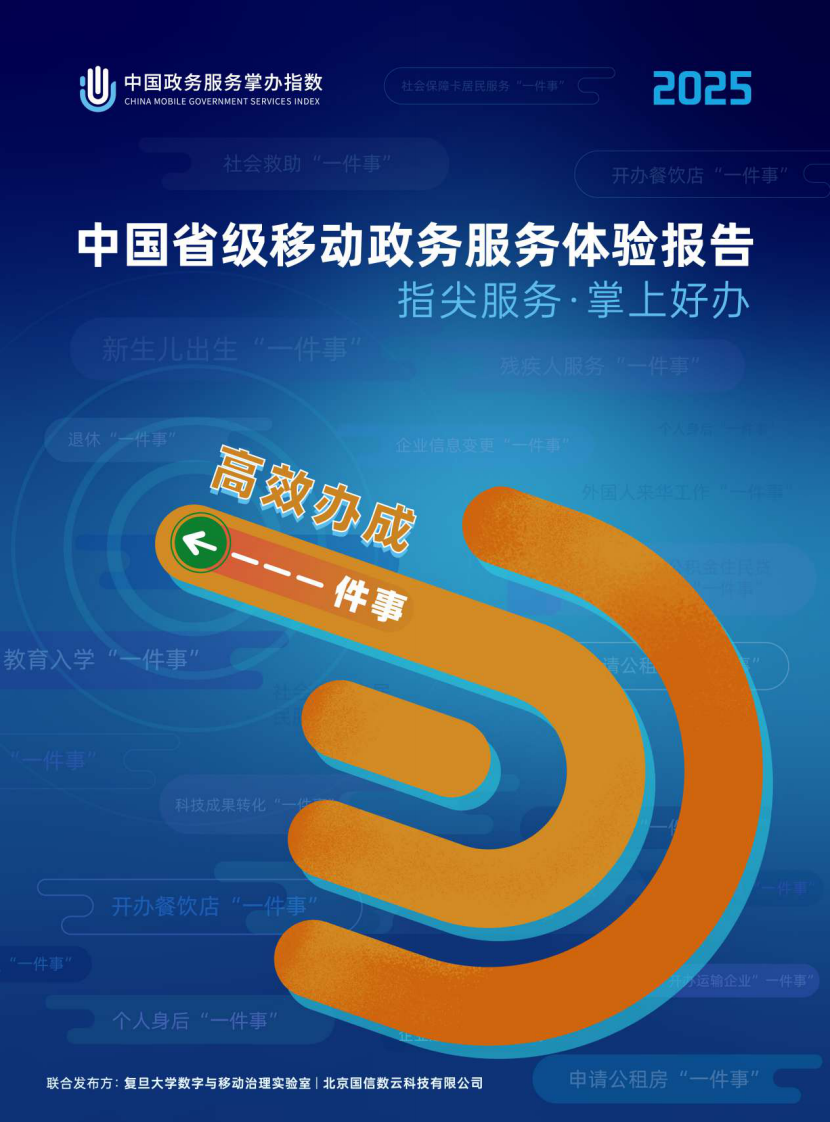 2025年省级移动政务服务体验报告 第1页