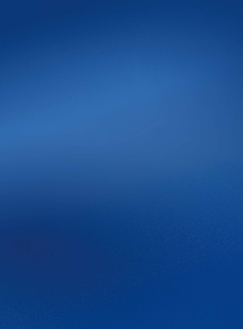 2025年省级移动政务服务体验报告 第2页