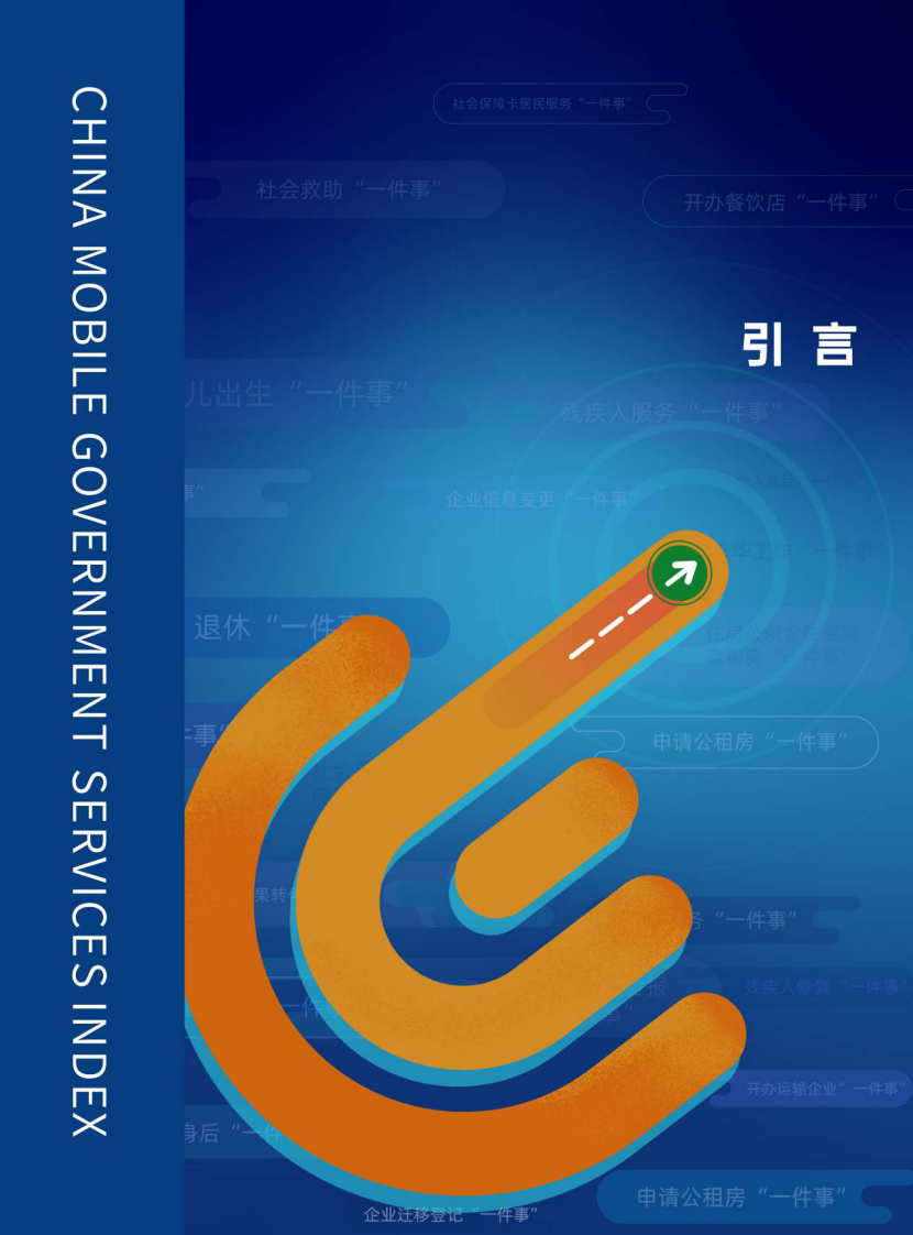 2025年省级移动政务服务体验报告 第5页