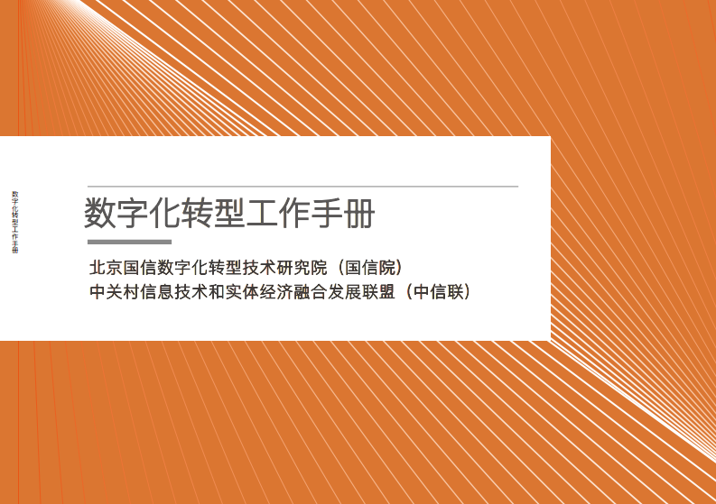 实战&mdash;数字化转型工作手册 第1页