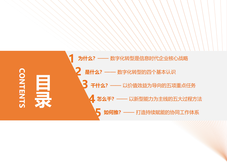 实战&mdash;数字化转型工作手册 第2页