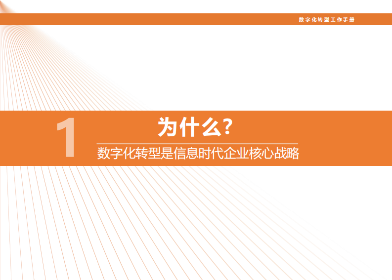 实战&mdash;数字化转型工作手册 第3页