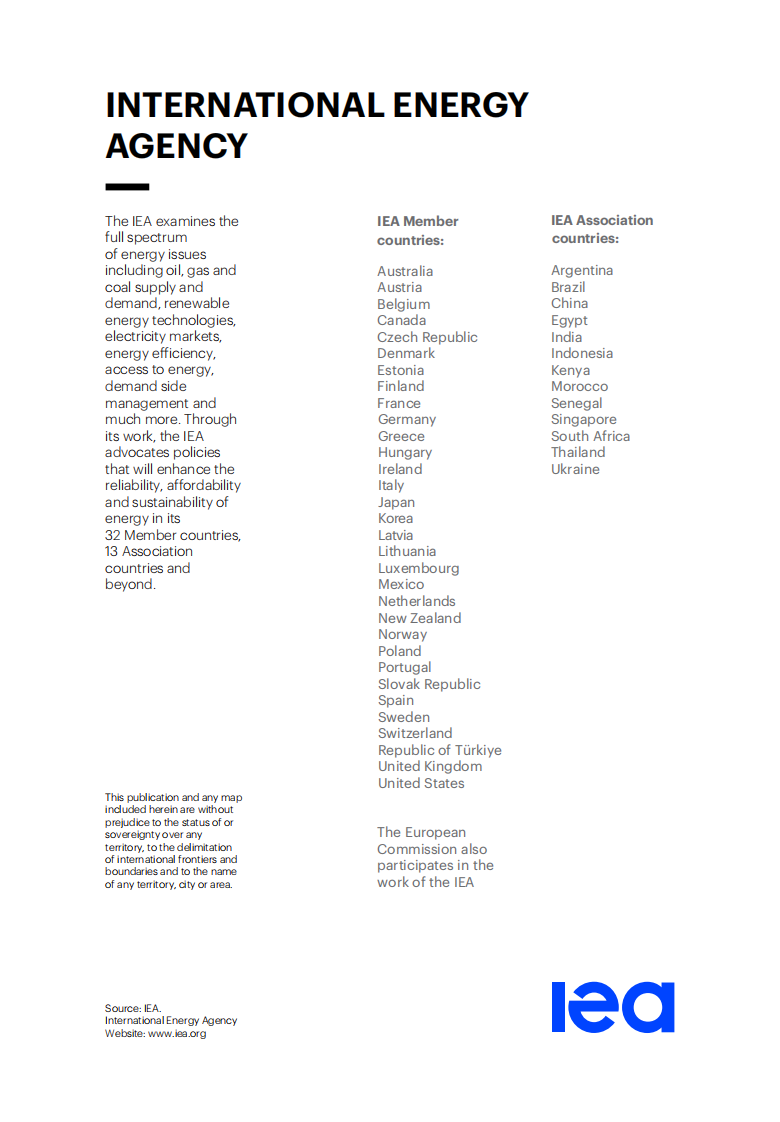 为非洲电力供应融资 第2页