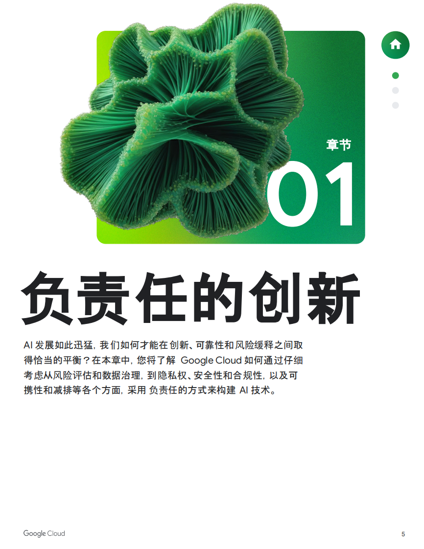2025年提供安全可靠的AI白皮书 第5页