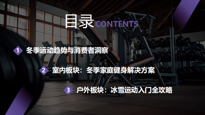 2025年&ldquo;冻&rdquo;感新生-冬季运动两极分化趋势与品牌破局点 第2页