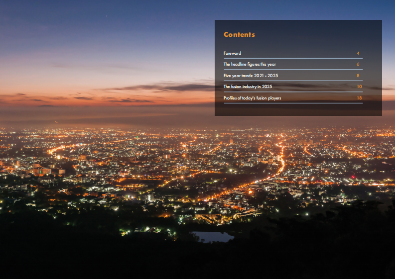 2025年全球核聚变行业报告（英文） 第2页
