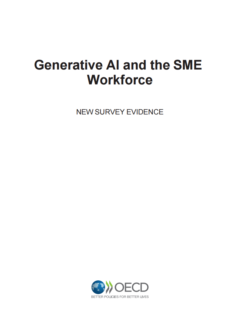 2025年生成式人工智能与中小企业劳动力研究报告（英文） 第3页