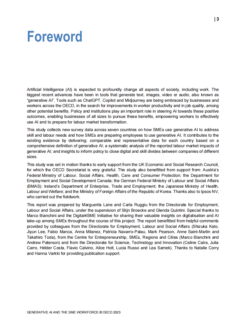 2025年生成式人工智能与中小企业劳动力研究报告（英文） 第5页