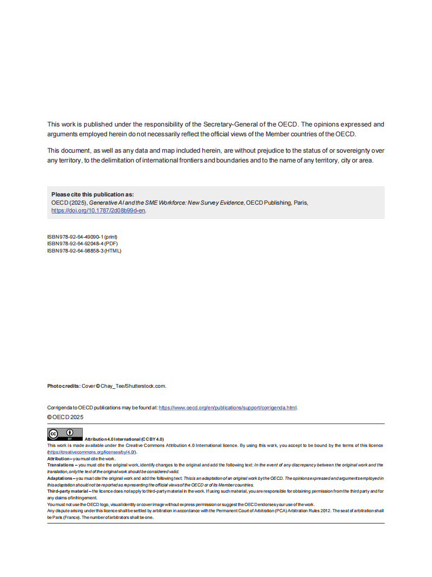 2025年生成式人工智能与中小企业劳动力研究报告（英文） 第4页