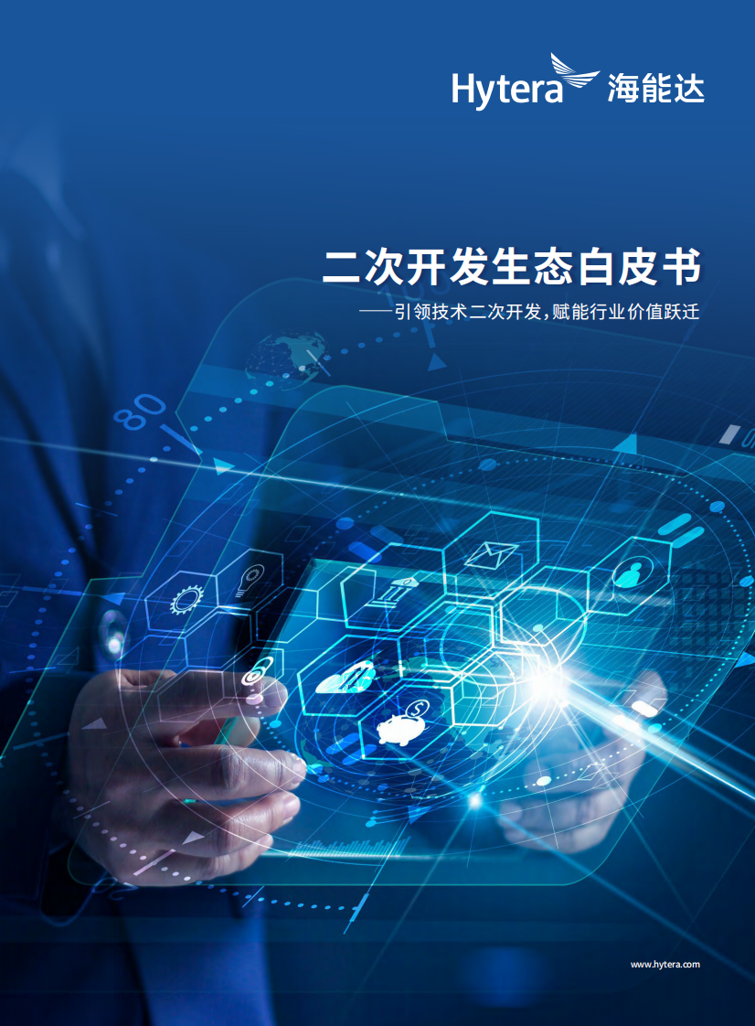 2025年二次开发生态白皮书 第1页