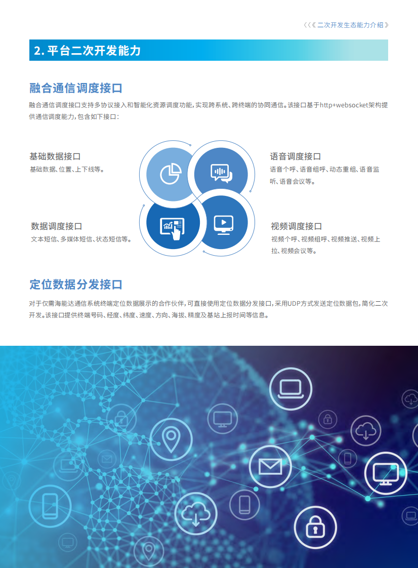 2025年二次开发生态白皮书 第5页