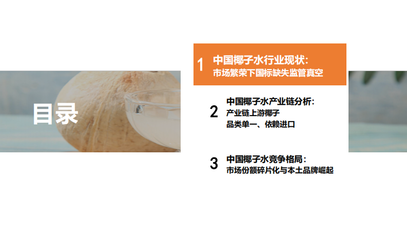 2025年中国椰子水行业报告 第3页