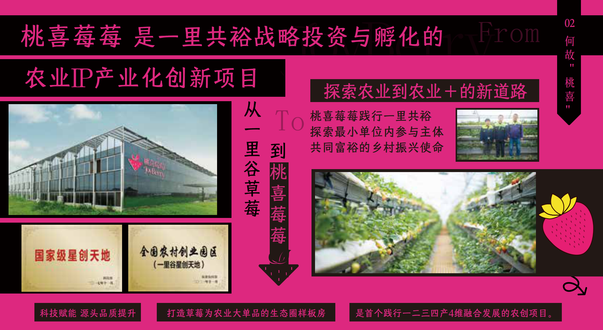 2025版桃喜莓莓品牌手册 第4页