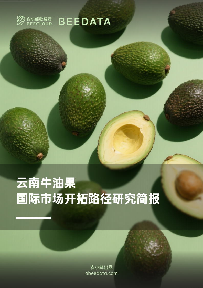 2025年云南牛油果国际市场开拓路径研究简报 第1页