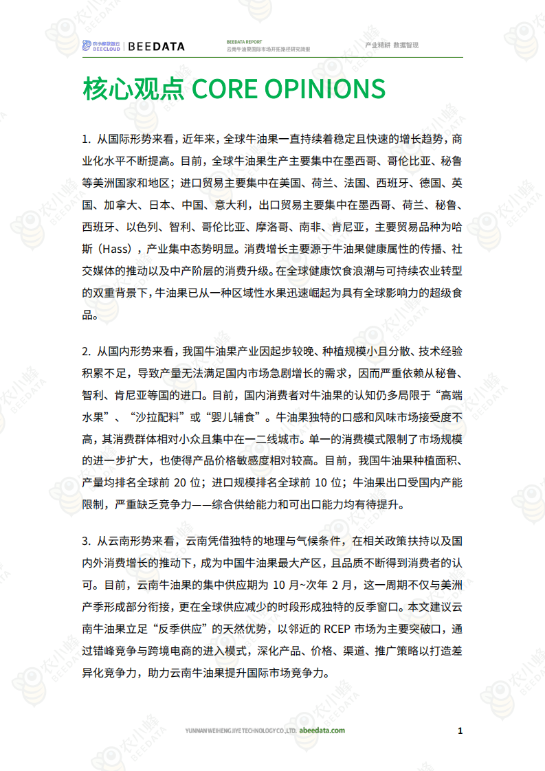 2025年云南牛油果国际市场开拓路径研究简报 第3页