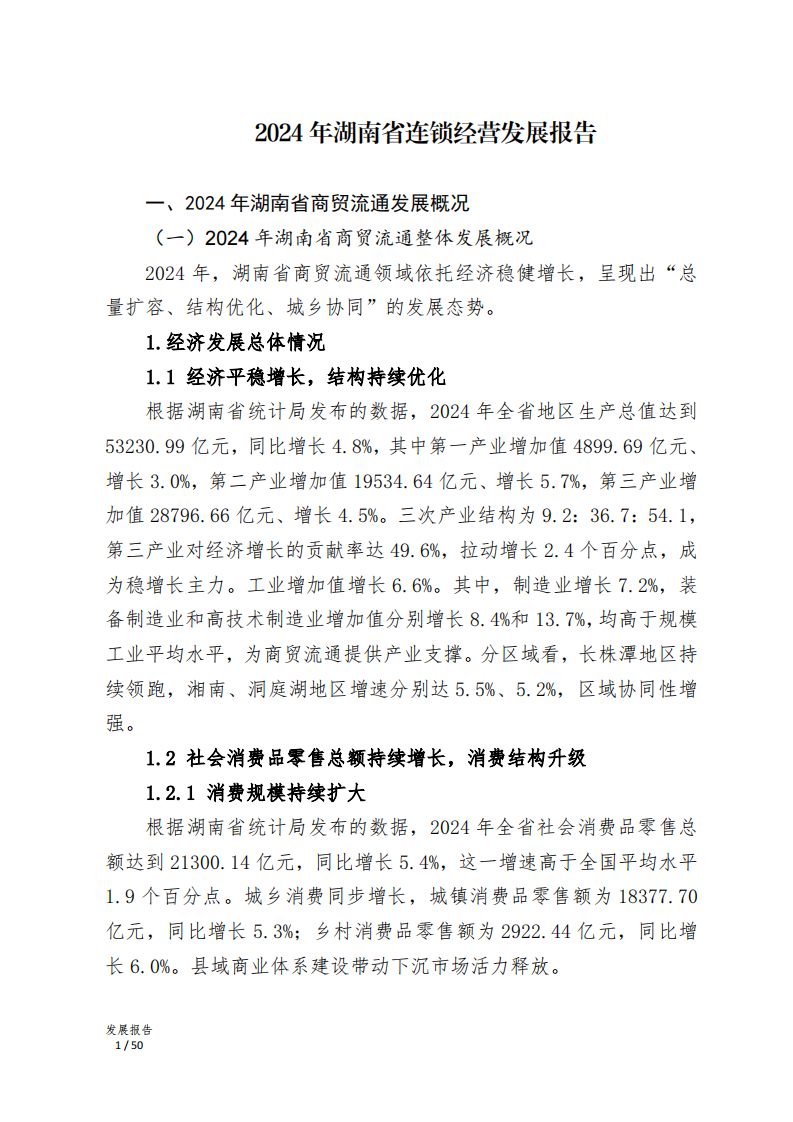 2024年湖南省连锁经营发展报告 第4页