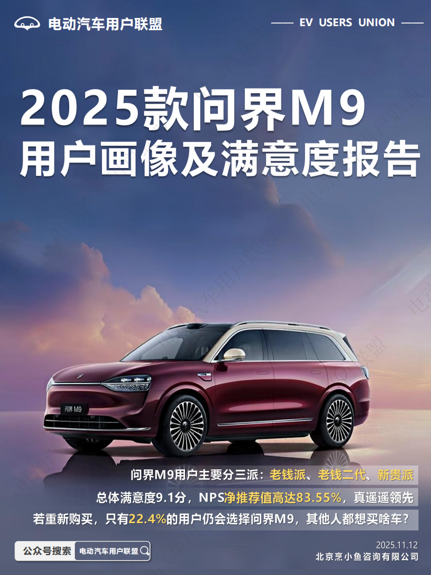 2025款问界M9用户画像及满意度报告 第1页