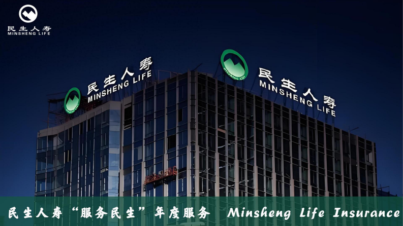 2025年民生人寿服务年度规划方案 第1页