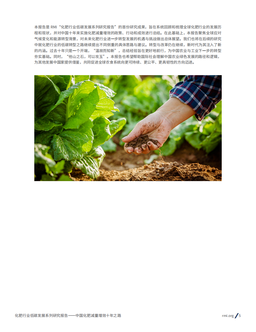 2025年化肥行业低碳发展系列研究报告-中国化肥减量增效十年之路 第5页