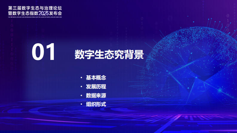 2025年数字生态报告演讲 第4页