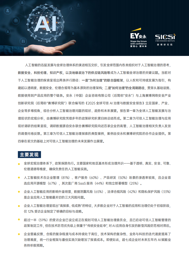 2025全球可信AI治理与数据安全报告 第2页