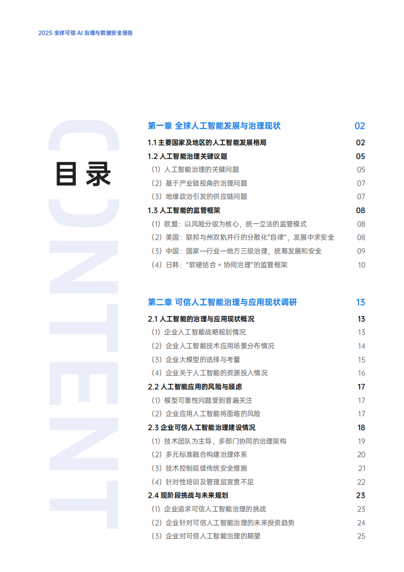 2025全球可信AI治理与数据安全报告 第3页