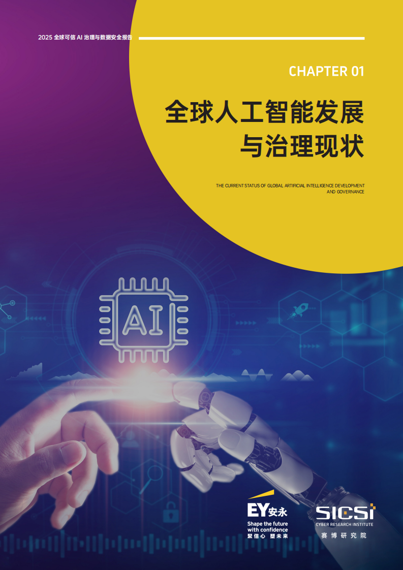 2025全球可信AI治理与数据安全报告 第5页