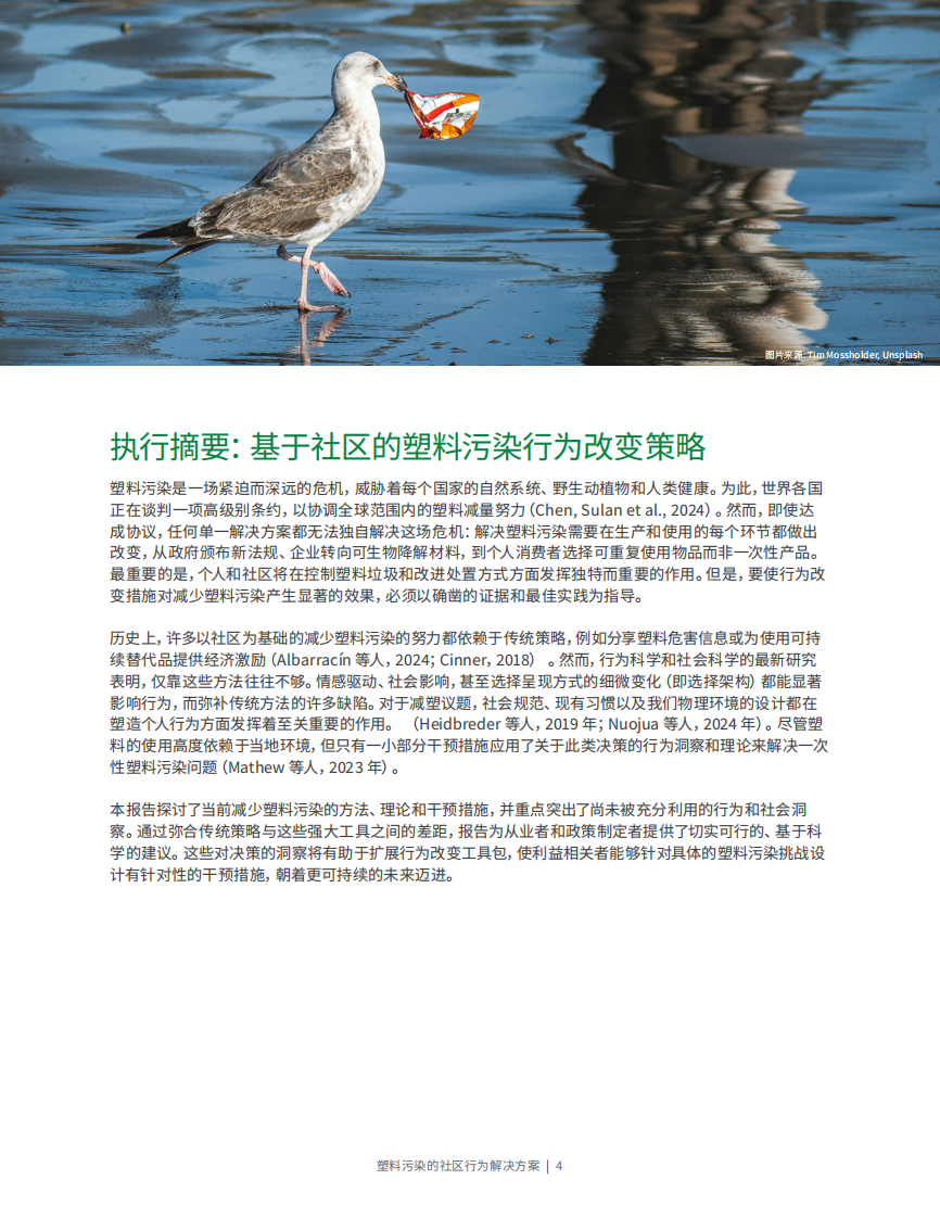 塑料污染的社区行为解决方案 第4页
